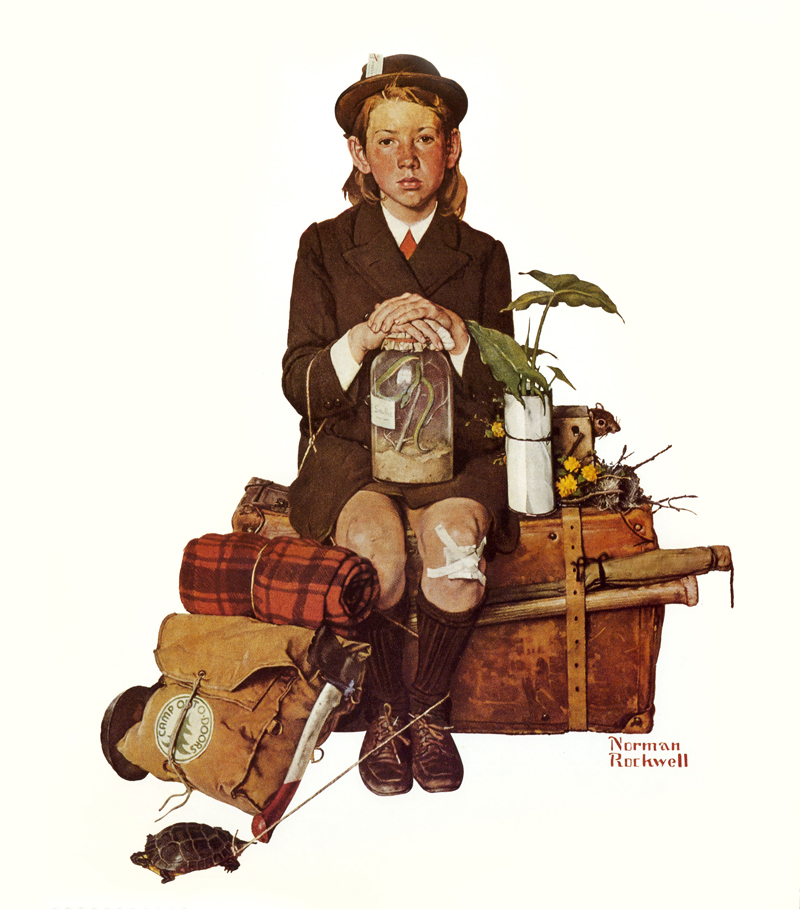 norman-rockwell-home-from-camp.jpg