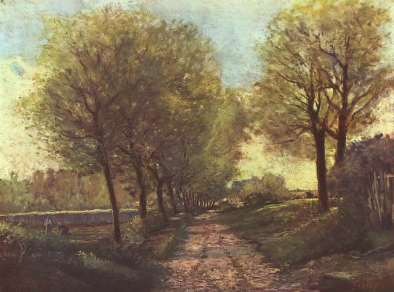 Avenue of Trees in a Small Town.jpg