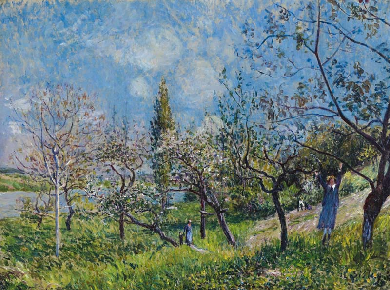 Orchard in spring.jpg