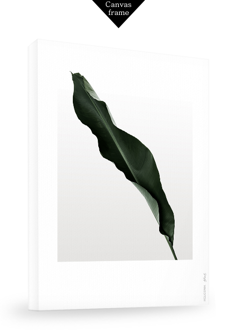 HELICONIA No_1.png