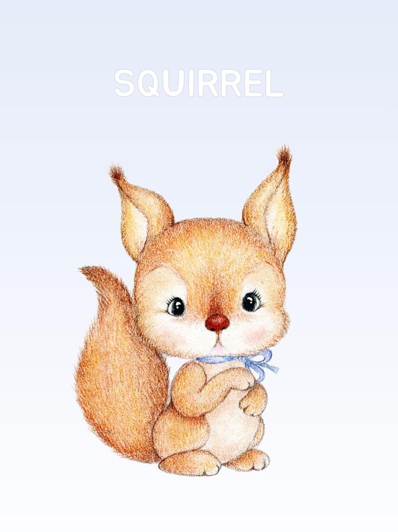 Squirrel No_1.jpg