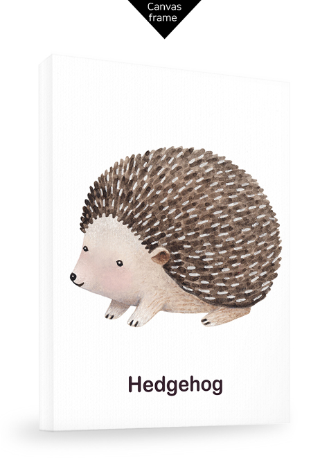 Hedgehog No_1.jpg