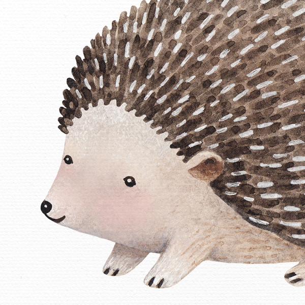 Hedgehog No_1.jpg
