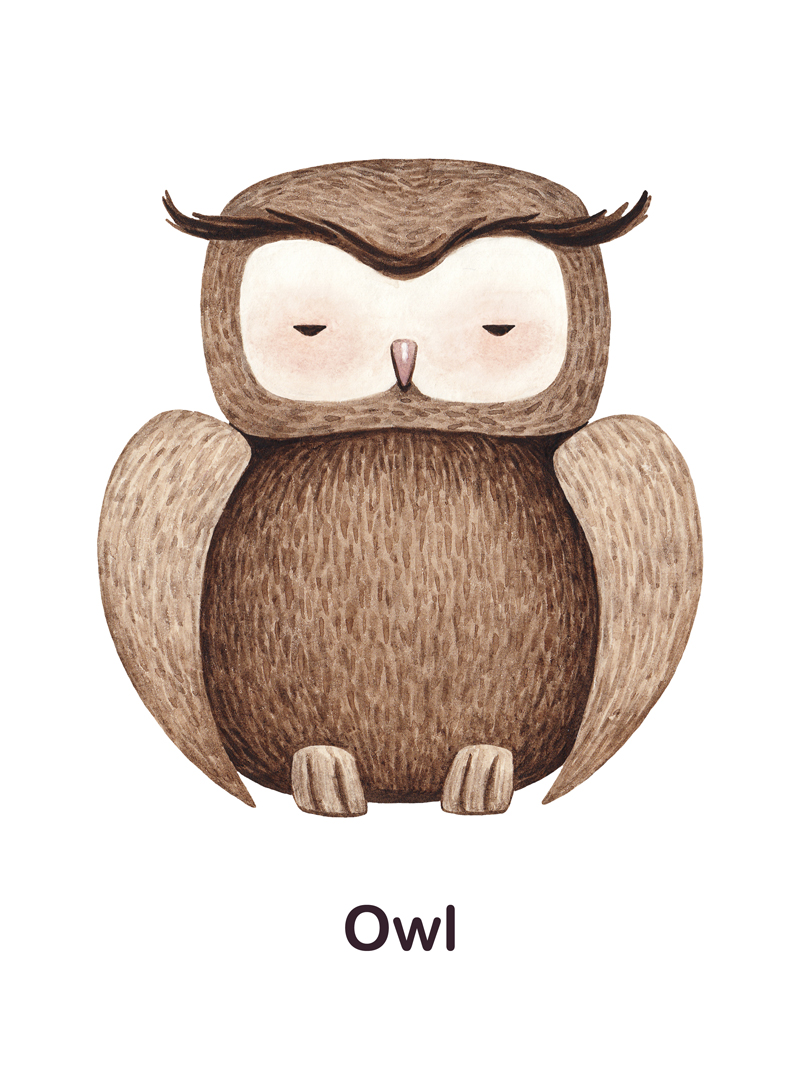 Owl No_1.jpg
