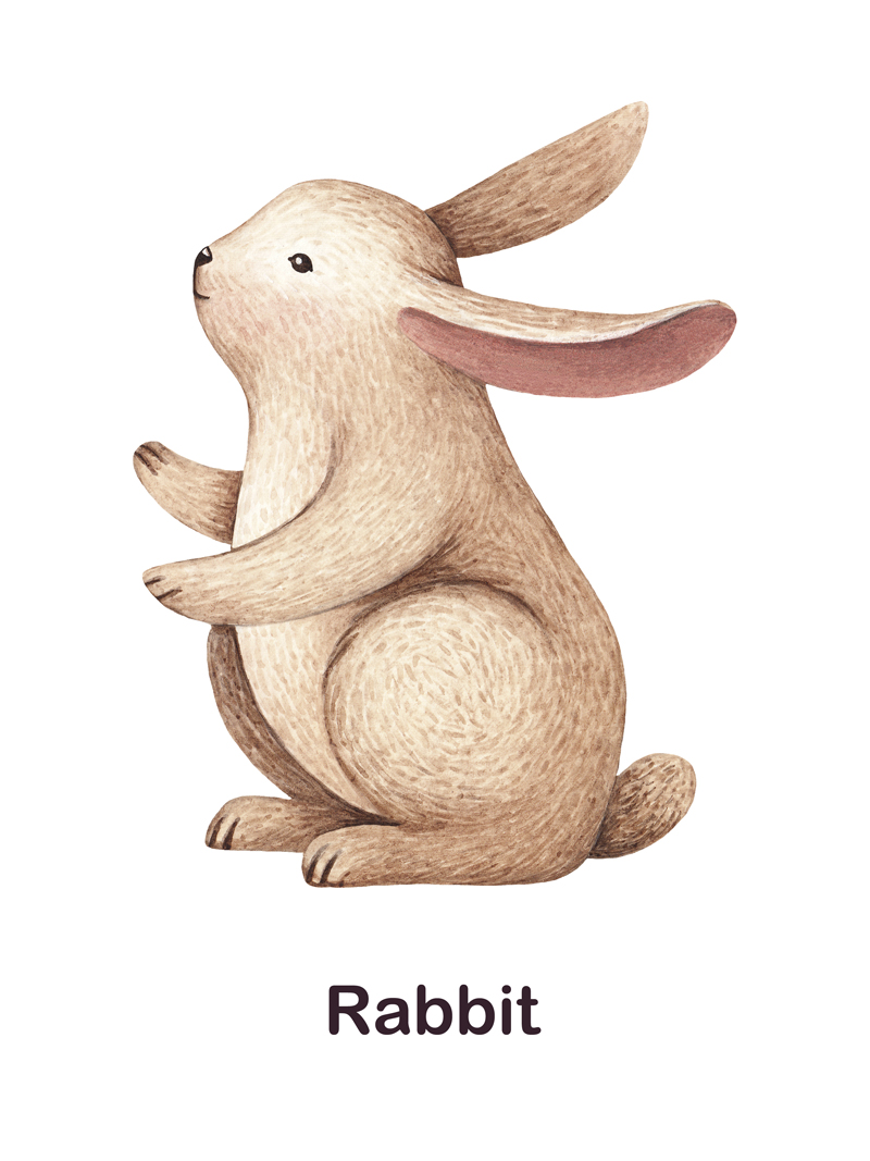 Rabbit No_1.jpg