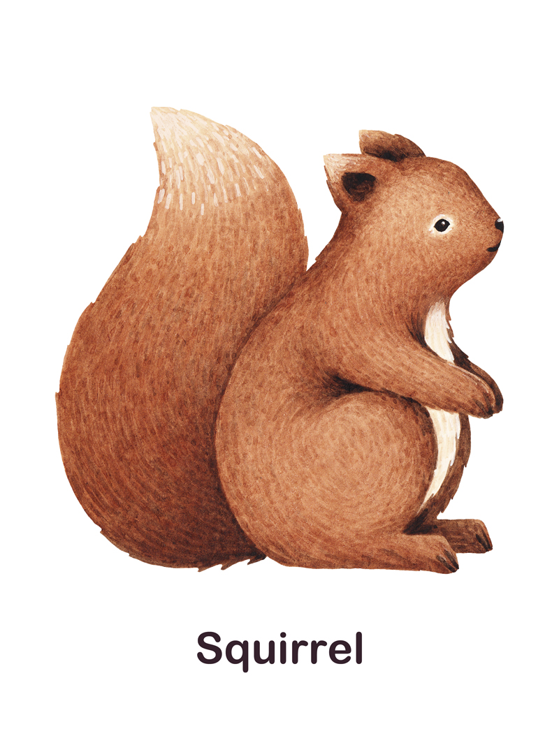 Squirrel No_2.jpg