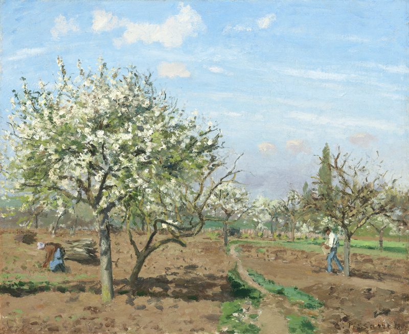 Orchard in Bloom, Louveciennes.jpg
