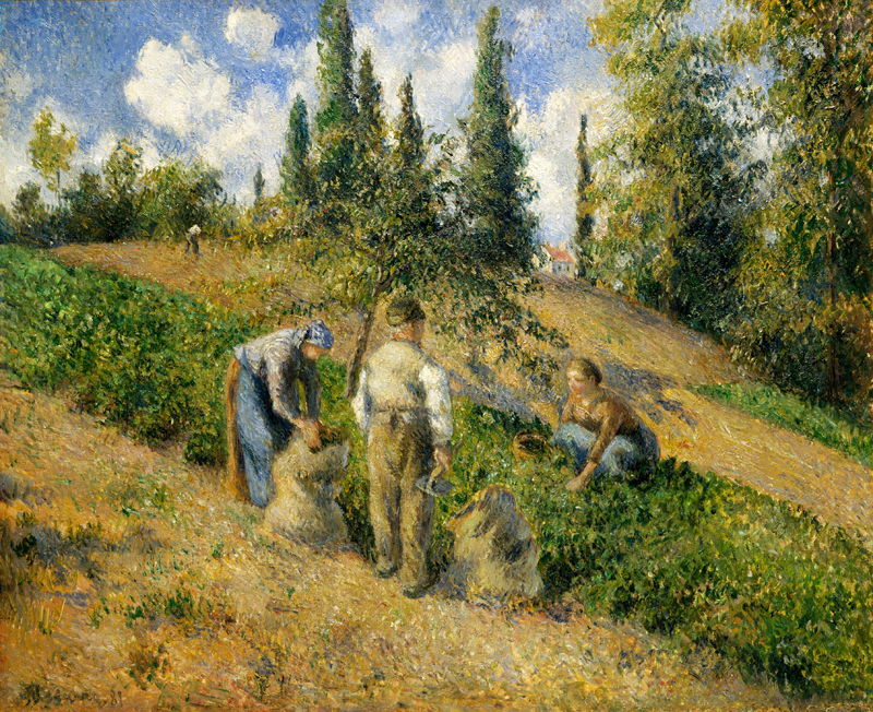 The Harvest, Pontoise.jpg