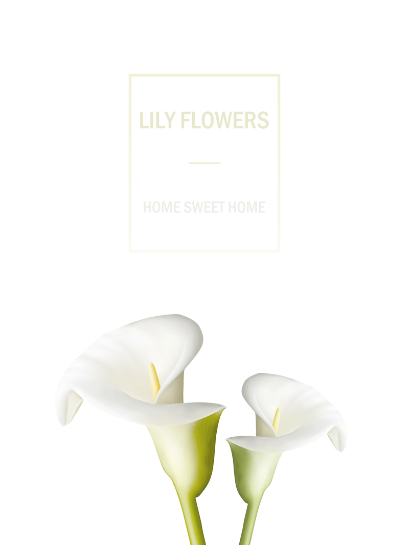Lily flowers No_1.jpg