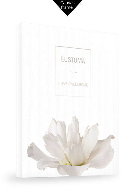 Eustoma No_1.jpg